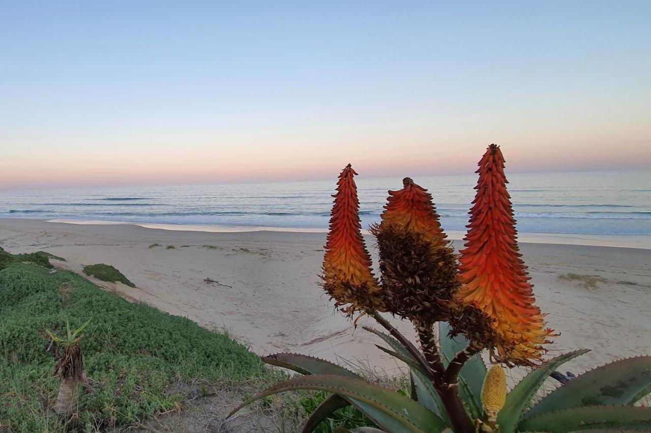 Paradise Found, Paradise Beach, Jeffreys Bay Exterior foto